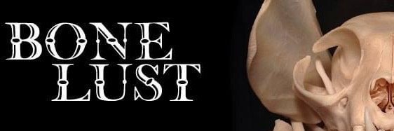 bonelust_studio's profile banner image