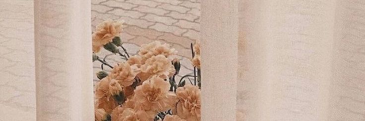 Ayusgrti's profile banner image