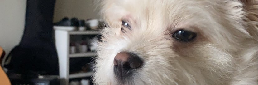 aaronxgabriel's profile banner image