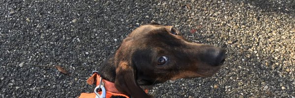 lrestistant73 Profile Banner