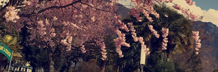 Yarz_S's profile banner image