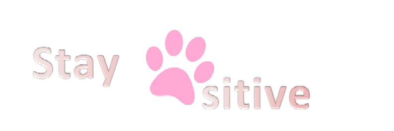 StayPawsitive1's profile banner image