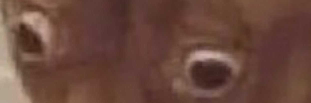 jake_m149's profile banner image