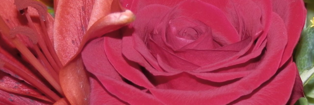 itzposhable's profile banner image