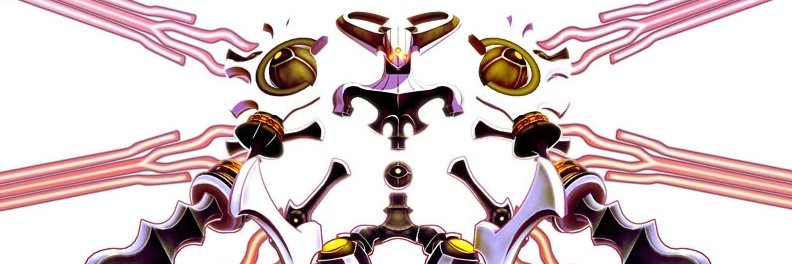 orca banner
