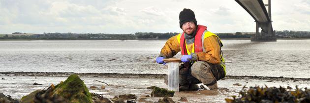 Hull Marine Laboratory banner
