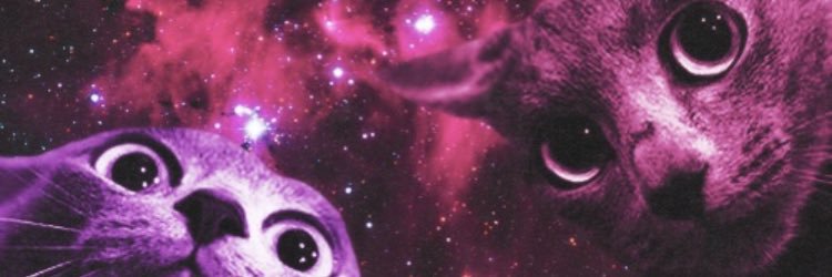 novembernpiper's profile banner image