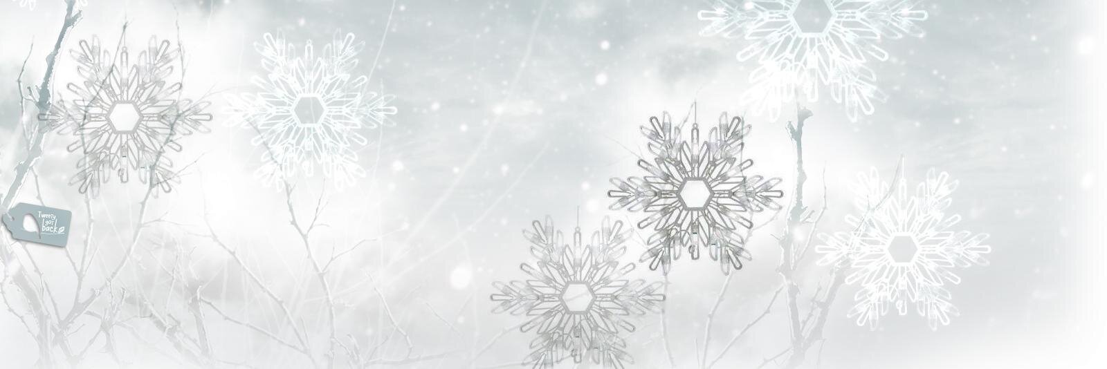 gesjoss's profile banner image