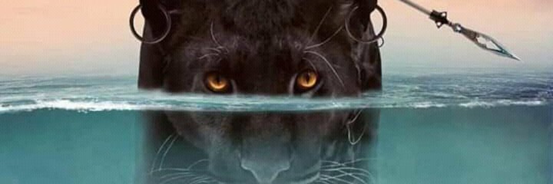 Bra_Leps's profile banner image