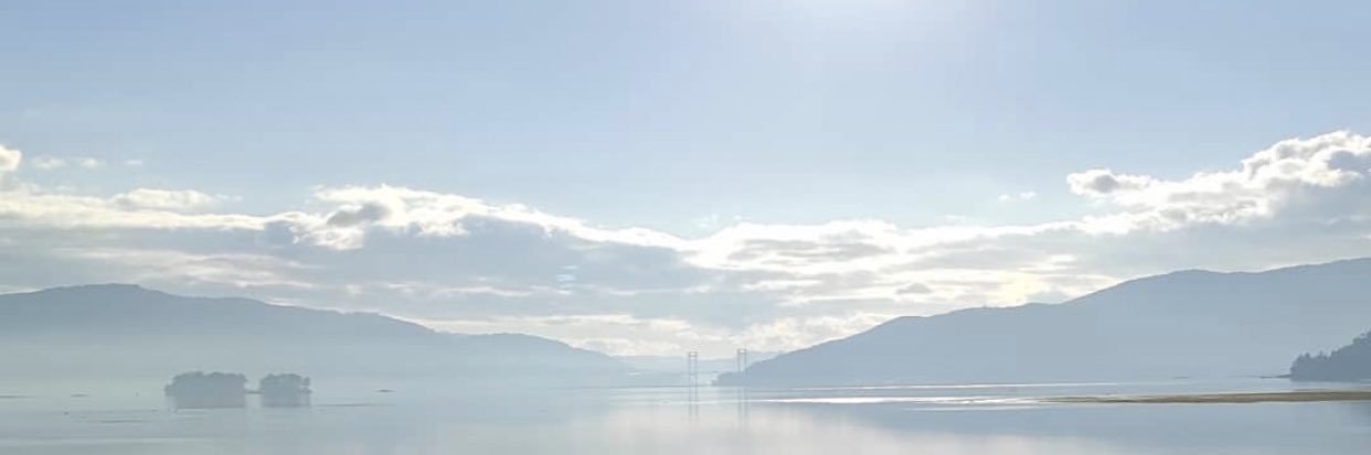 OneDav1d's profile banner image