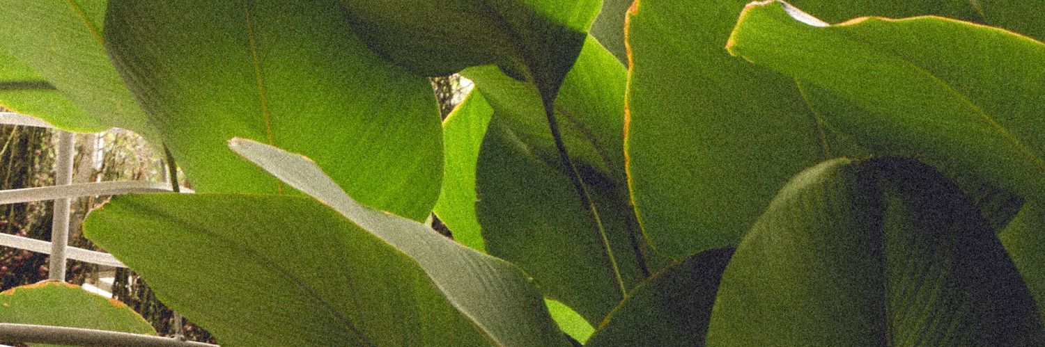 dimasdew's profile banner image