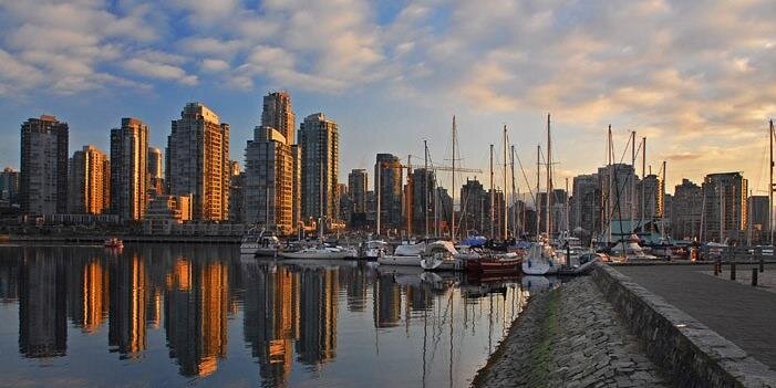 SadafiRealty's profile banner image