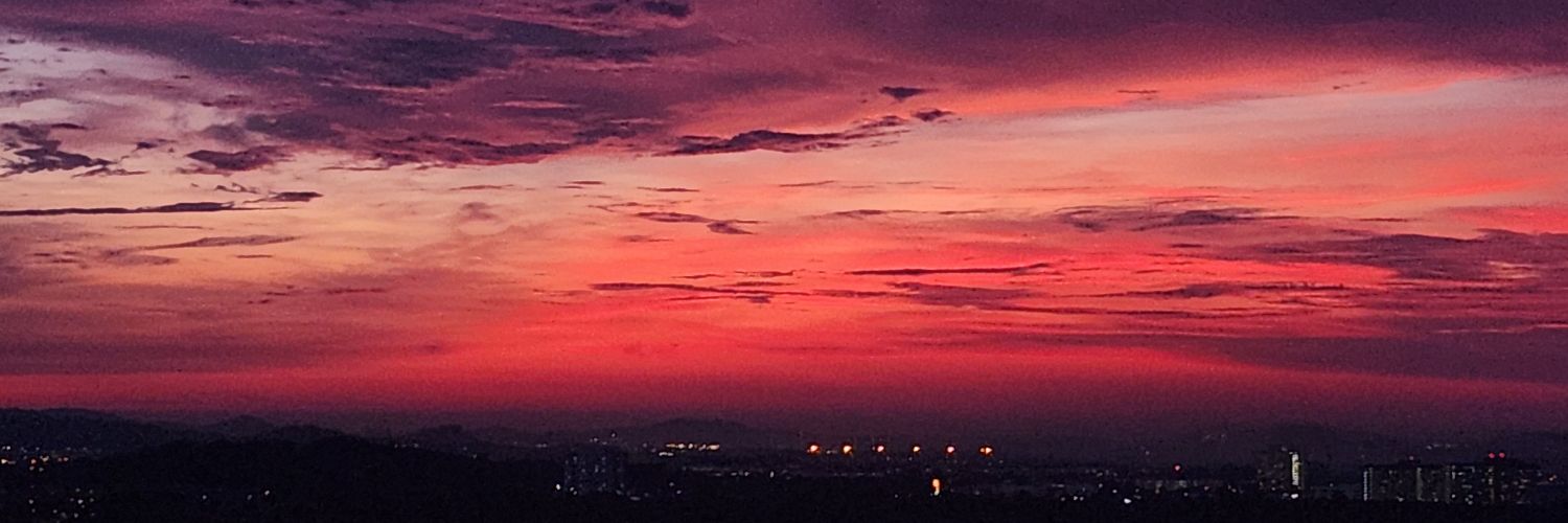 MrDashvin's profile banner image