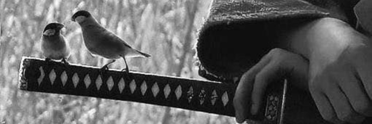 Pht0_'s profile banner image