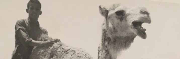 ا.د.عبدالرحمن الشاعر banner