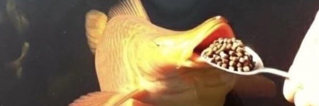 tittywizard's profile banner image
