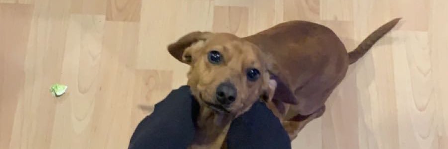 heidibaabe's profile banner image