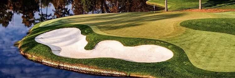 tdermargosian's profile banner image