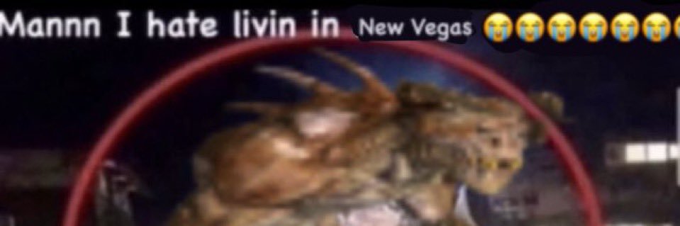 e_llaaa's profile banner image