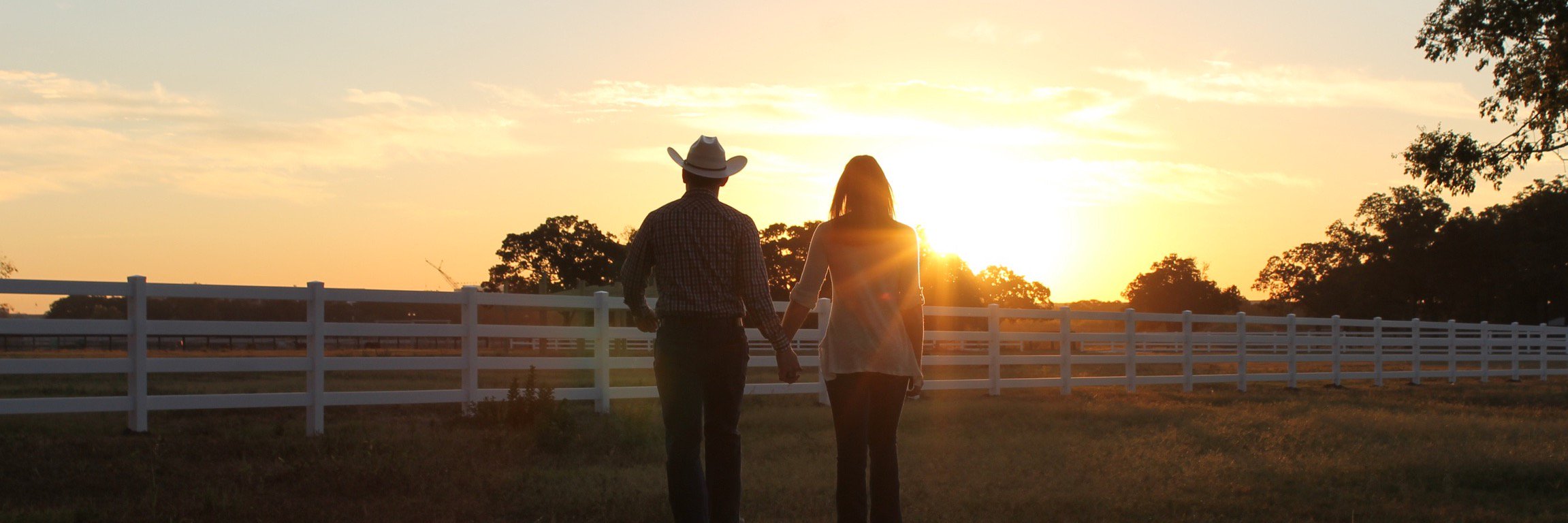 stevecollinstx's profile banner image