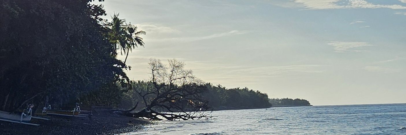 ferryoptics's profile banner image