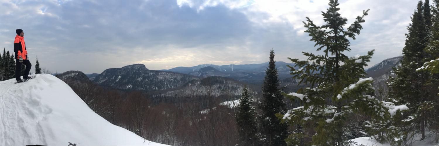 Oscar Pettersson banner