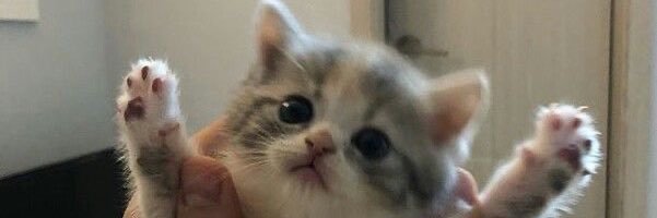 AlyaRashadd's profile banner image