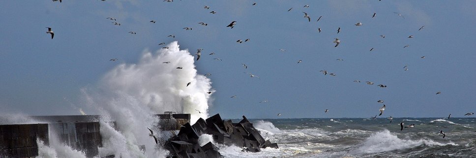 Foto_Helgoland's profile banner image