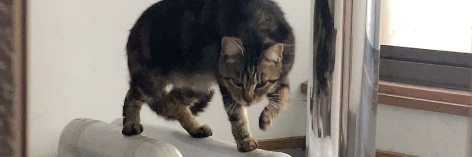 tora_tora32's profile banner image