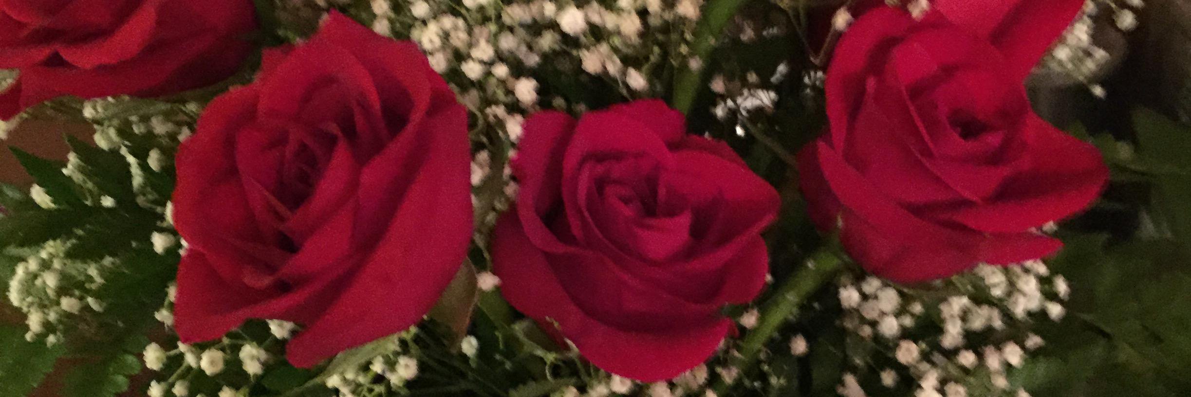 Felisha Gould banner