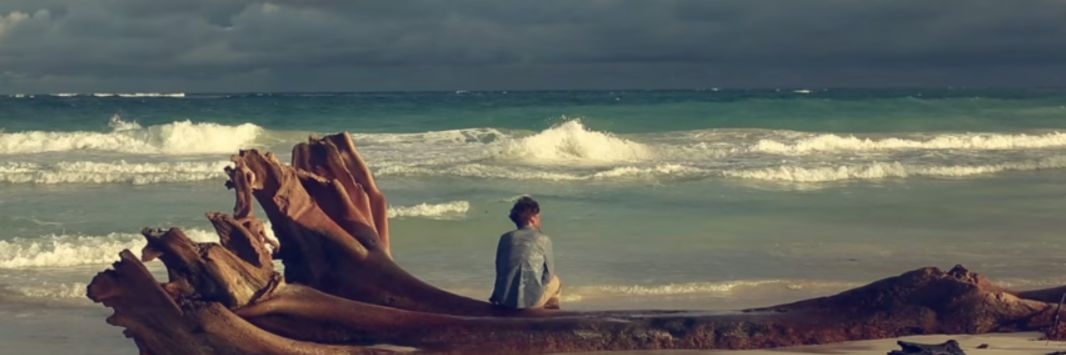 𝔹𝕒𝕟𝕥𝕖𝕣𝔹𝕒𝕣𝕠𝕟 #noretemaarate ₿ 🇮🇹 banner