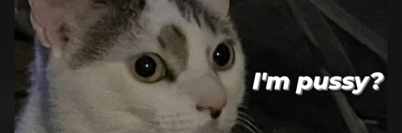 abbycarterr's profile banner image