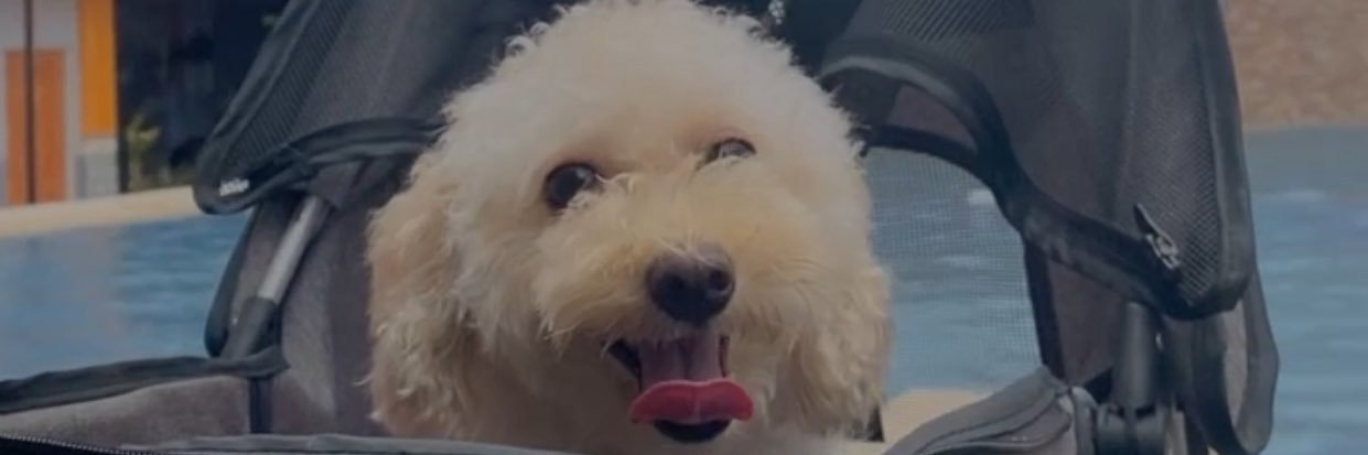samrieee's profile banner image