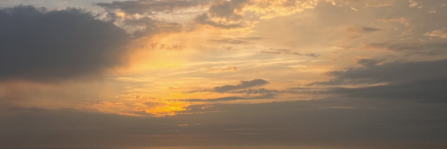 amy🦂 banner