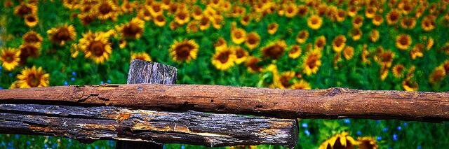 Blog_Sostenible's profile banner image