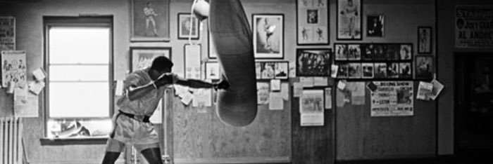 BoxFitSD banner