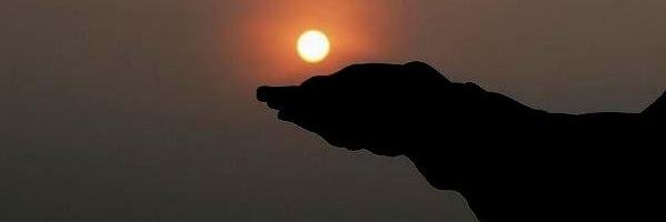 Jodi arya putra banner