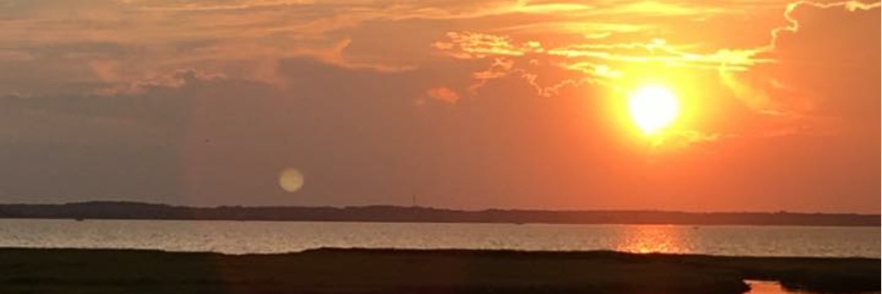 Janet teachscience banner