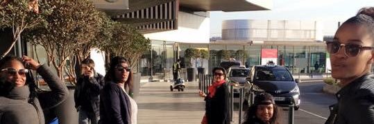 Rocks D Jorko banner