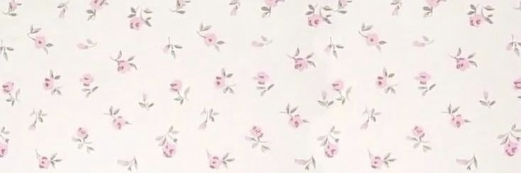 mambin🍓| ⋆˚꩜｡ banner