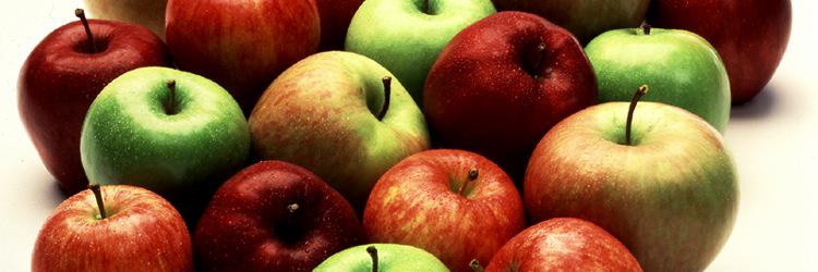 Allegra 🍎 banner