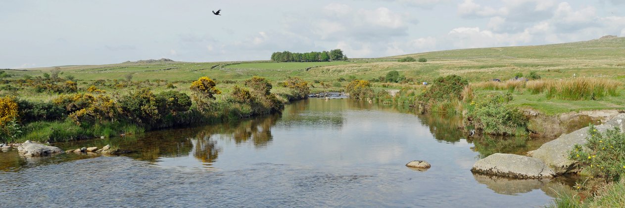 Local_Devon's profile banner image