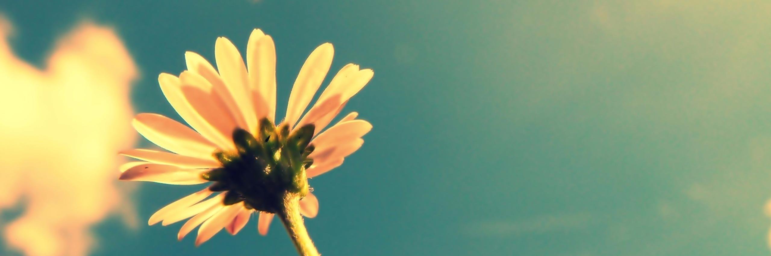 SMesham's profile banner image