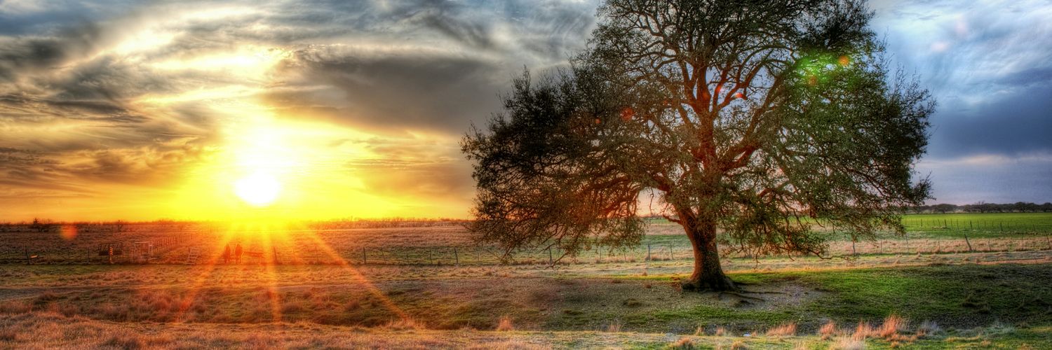 JavanOdede's profile banner image