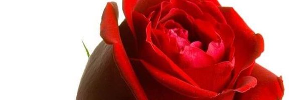 BertranPa Profile Banner