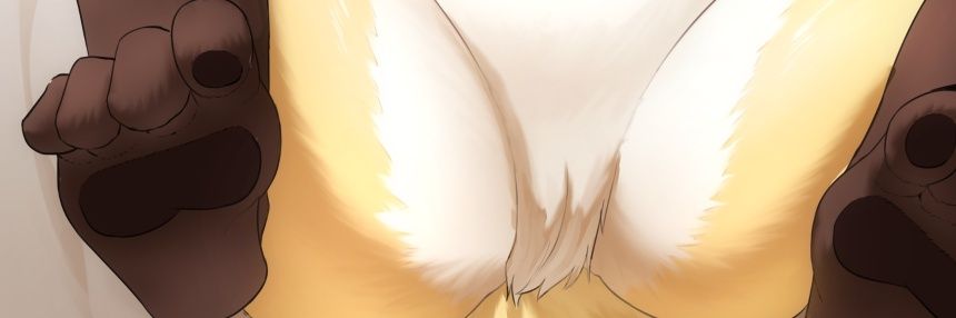 猫耳乱乱 banner