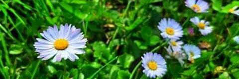 Mos3oraby's profile banner image