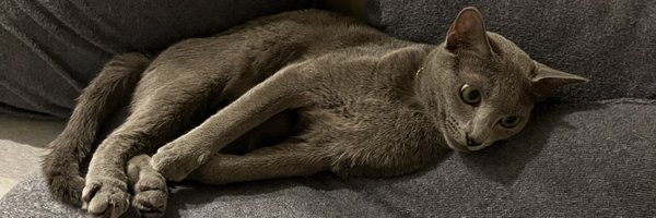 ayanon_47 Profile Banner