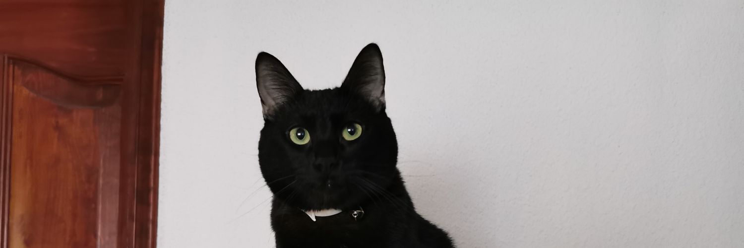Abe_Gogui's profile banner image