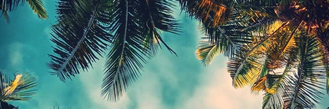mmiraaishak's profile banner image